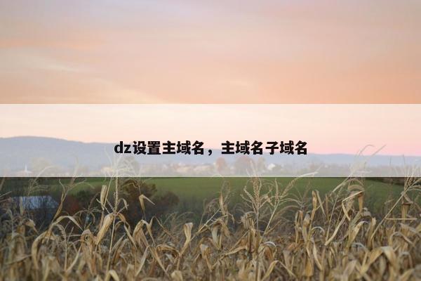 dz设置主域名，主域名子域名