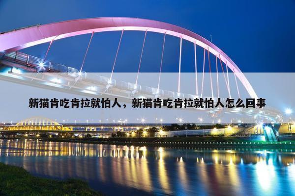新猫肯吃肯拉就怕人，新猫肯吃肯拉就怕人怎么回事