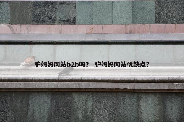 驴妈妈网站b2b吗？ 驴妈妈网站优缺点？