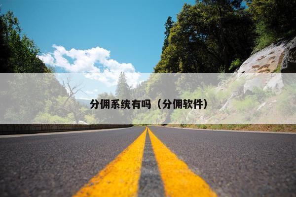 分佣系统有吗（分佣软件）