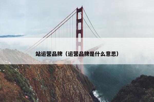 站运营品牌（运营品牌是什么意思）