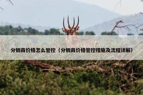 分销商价格怎么管控（分销商价格管控措施及流程详解）