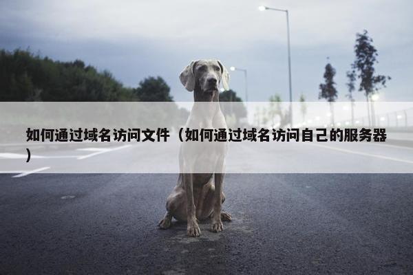 如何通过域名访问文件（如何通过域名访问自己的服务器）
