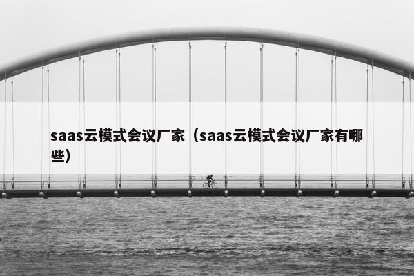 saas云模式会议厂家（saas云模式会议厂家有哪些）