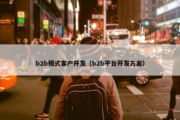 b2b模式客户开发（b2b平台开发方案）