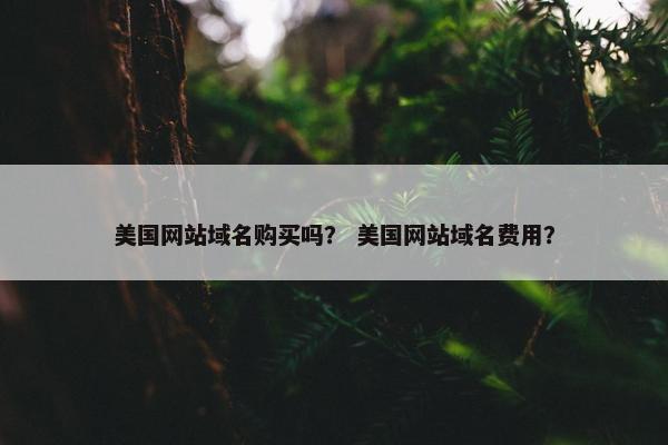 美国网站域名购买吗？ 美国网站域名费用？