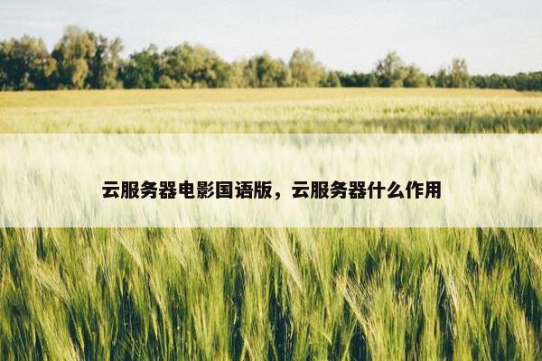 云服务器电影国语版，云服务器什么作用