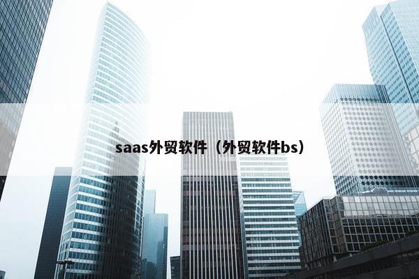 saas外贸软件（外贸软件bs）