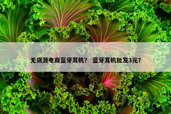 无货源电商蓝牙耳机？ 蓝牙耳机批发3元？