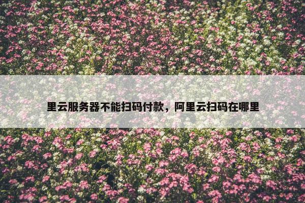 里云服务器不能扫码付款，阿里云扫码在哪里