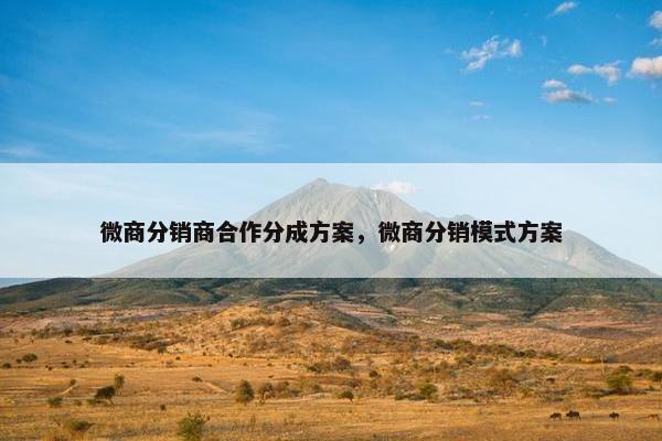 微商分销商合作分成方案，微商分销模式方案