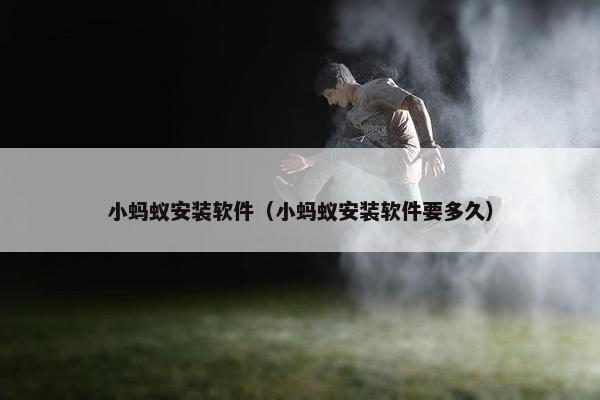 小蚂蚁安装软件（小蚂蚁安装软件要多久）