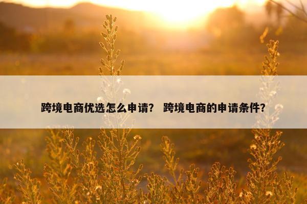 跨境电商优选怎么申请？ 跨境电商的申请条件？