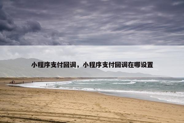 小程序支付回调，小程序支付回调在哪设置
