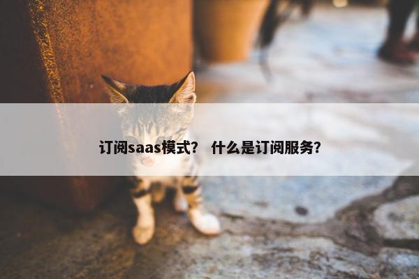 订阅saas模式？ 什么是订阅服务？