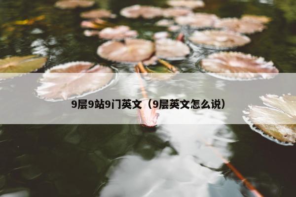 9层9站9门英文（9层英文怎么说）