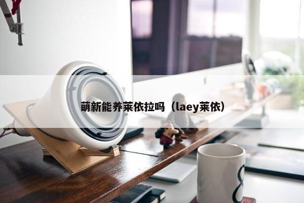 萌新能养莱依拉吗（laey莱依）