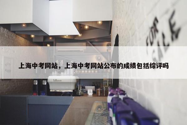 上海中考网站，上海中考网站公布的成绩包括综评吗
