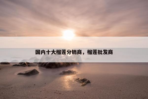 国内十大榴莲分销商，榴莲批发商