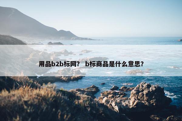 用品b2b标网？ b标商品是什么意思？
