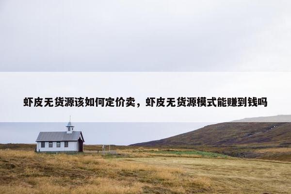 虾皮无货源该如何定价卖，虾皮无货源模式能赚到钱吗