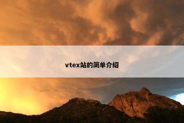 vtex站的简单介绍