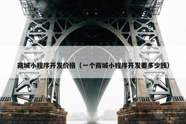 商城小程序开发价格（一个商城小程序开发要多少钱）