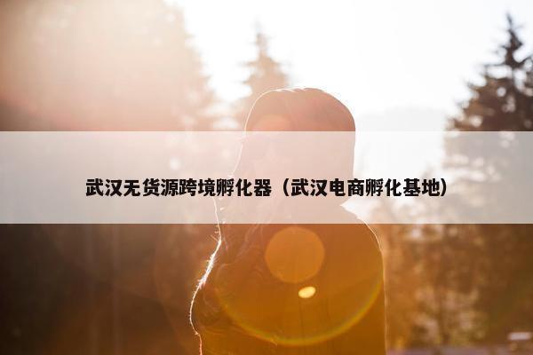 武汉无货源跨境孵化器（武汉电商孵化基地）
