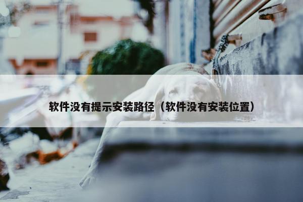 软件没有提示安装路径（软件没有安装位置）