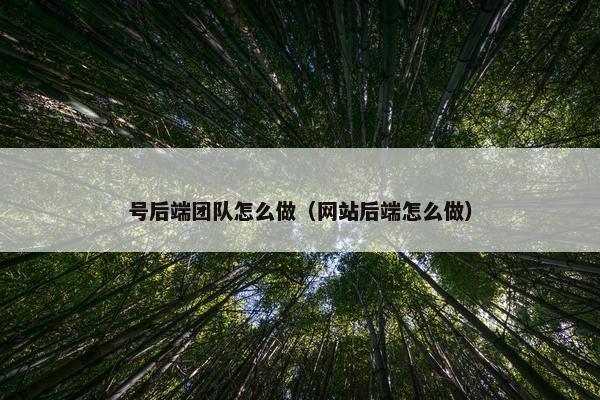 号后端团队怎么做（网站后端怎么做）