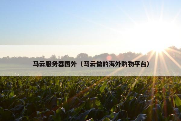马云服务器国外（马云做的海外购物平台）