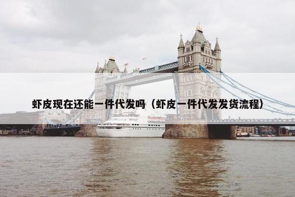 虾皮现在还能一件代发吗（虾皮一件代发发货流程）