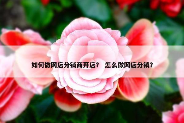 如何做网店分销商开店？ 怎么做网店分销？