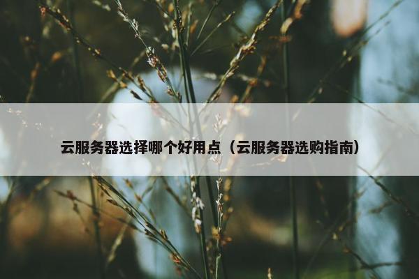 云服务器选择哪个好用点（云服务器选购指南）