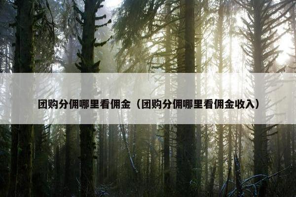 团购分佣哪里看佣金（团购分佣哪里看佣金收入）