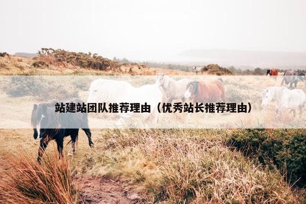 站建站团队推荐理由（优秀站长推荐理由）