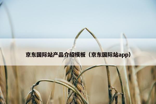 京东国际站产品介绍模板（京东国际站app）