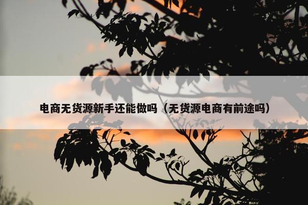 电商无货源新手还能做吗（无货源电商有前途吗）