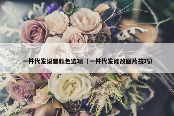 一件代发设置颜色选项（一件代发修改图片技巧）