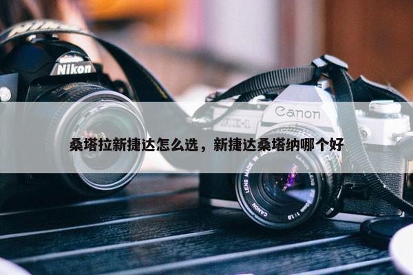 桑塔拉新捷达怎么选，新捷达桑塔纳哪个好