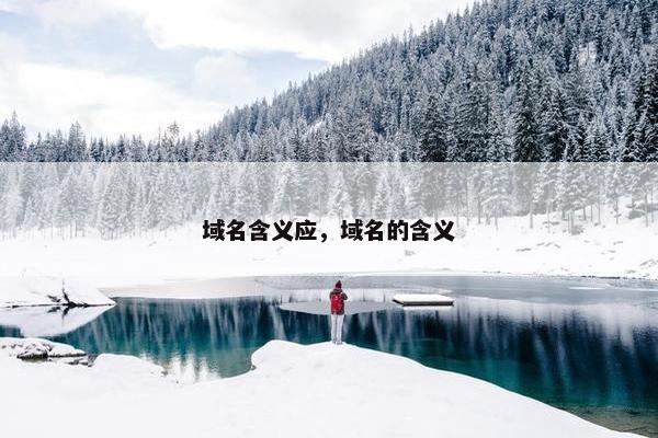 域名含义应，域名的含义