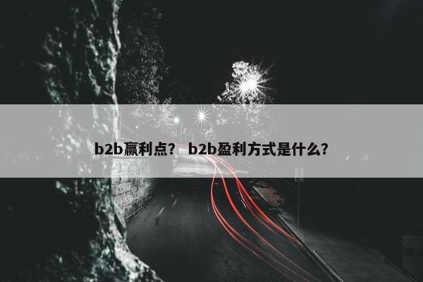 b2b赢利点？ b2b盈利方式是什么？