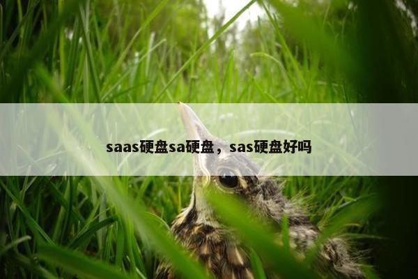 saas硬盘sa硬盘，sas硬盘好吗