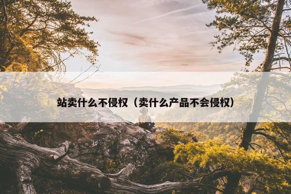 站卖什么不侵权（卖什么产品不会侵权）
