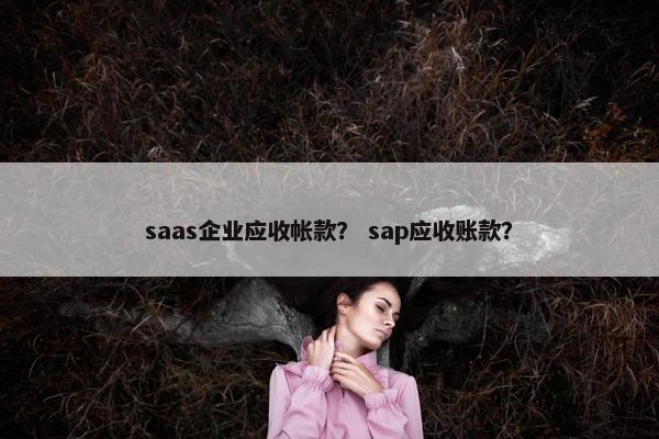saas企业应收帐款？ sap应收账款？
