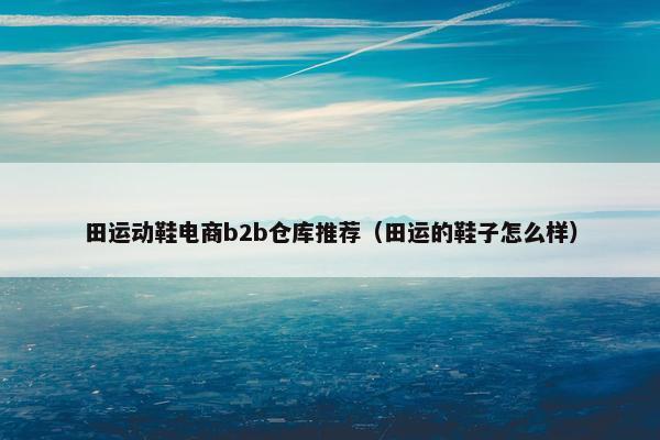 田运动鞋电商b2b仓库推荐（田运的鞋子怎么样）