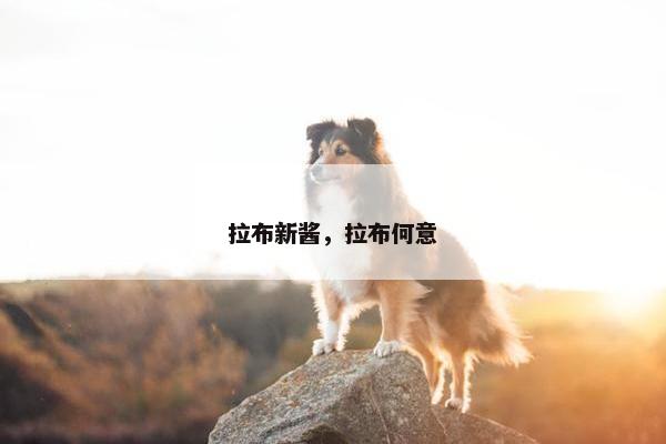 拉布新酱，拉布何意
