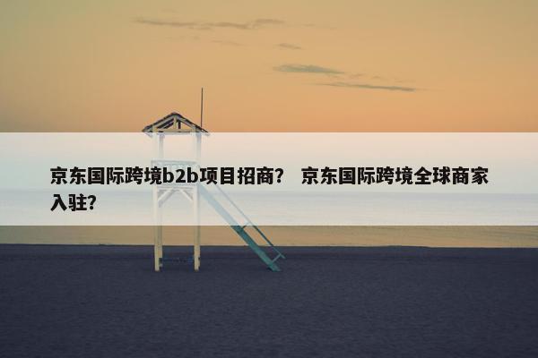 京东国际跨境b2b项目招商？ 京东国际跨境全球商家入驻？