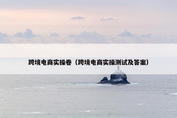 跨境电商实操卷（跨境电商实操测试及答案）