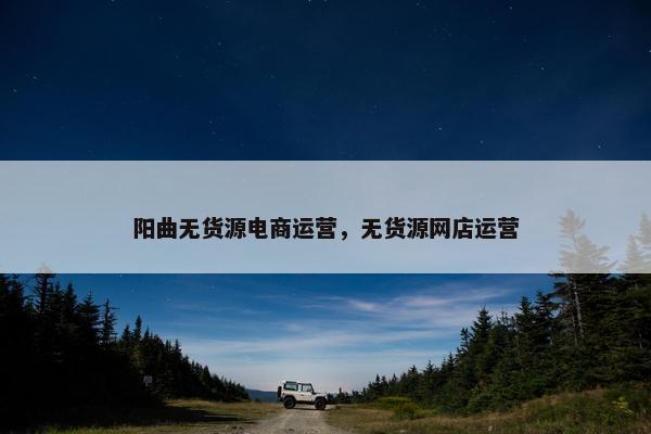 阳曲无货源电商运营，无货源网店运营